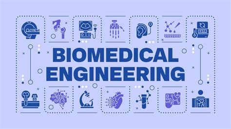 Biomedical Engineering PNG 的图像结果
