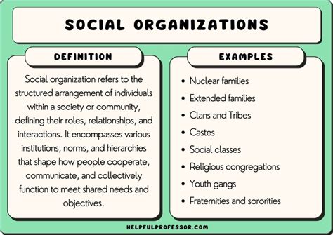Social Structures Examples 的图像结果