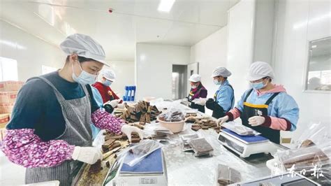 屏南：助力农产品闯出“新路”