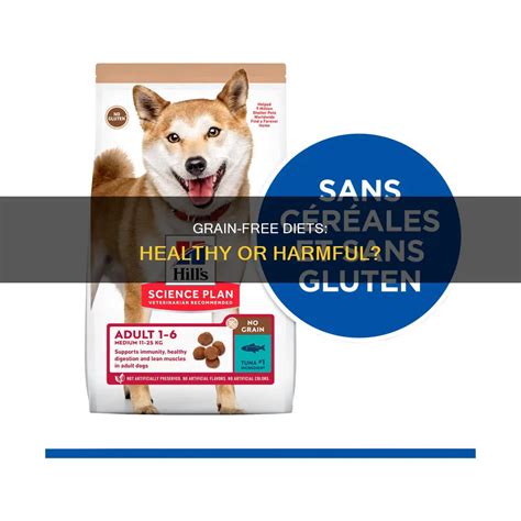 Grain-Free Diets: Healthy Or Harmful? | ShunKeto