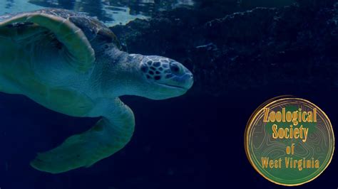 Zoological Society of West Virginia