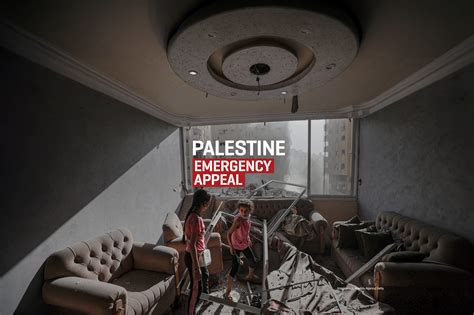 Appel Urgent à un Cessez-le-Feu Immédiat dans la Bande de Gaza et en ...