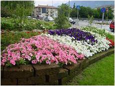 fiori perenni per aiuole aiuola tutto l anno fiori perenni per aiuole aiuola tutto l anno
