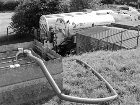 Potable and Non Potable Water: Uses and Key Differences - WD