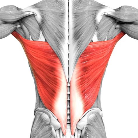 13 Easy Lat Stretches For Maximum Overhead Mobility
