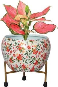 ecofynd Lio Metal Planter Pot with Gold Stand Indoor Outdoor Home Decor ...