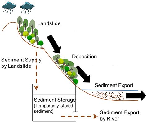 Investigating Sediment Dynamics in a Landslide-Dominated Catchment by ...