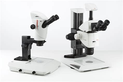 TL3000 Ergo & TL5000 Ergo 透過光ベース | 製品紹介 | Leica Microsystems