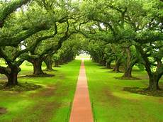 Nature Wallpaper Green by Beautiful Nature Wallpaper Green Nature Wallpaper Nature Wallpaper Green