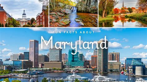 Ten Fun Facts About Christmas You Probably Didn't Know - Learn Bright