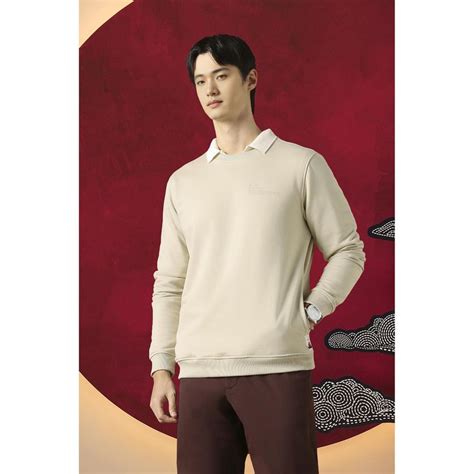 Buy Peter England Men Beige Solid Crew Neck Sweatshirt Online