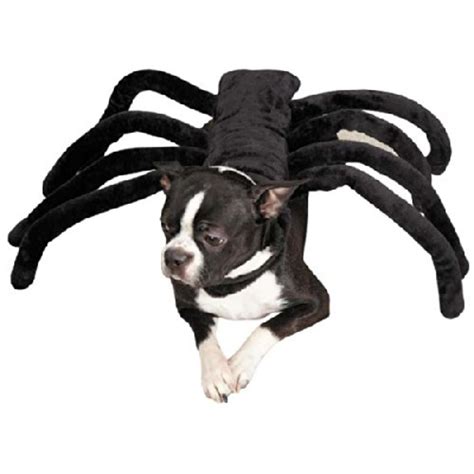 How To Make A Dog Spider Costume at Paul Boldt blog