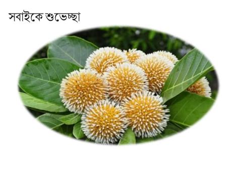 Image result for Class 8 Science Chapter 7 Map