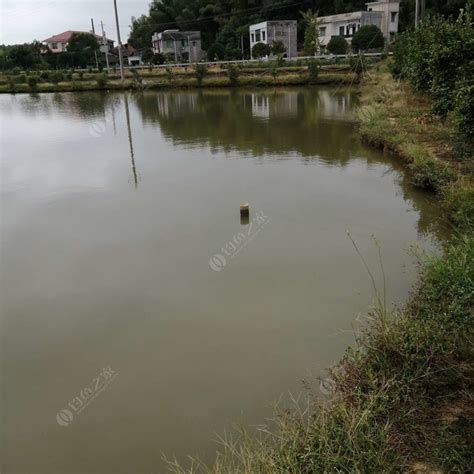 湘江湘潭段水位暴涨 水流湍急淹没观光栈道-图片频道