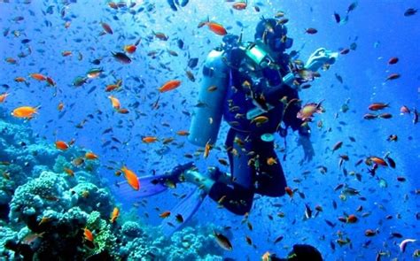 Adventure Trails: Best Adventure Places in India | Avis India