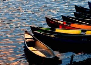 Image result for Perceptron Python Algorithm