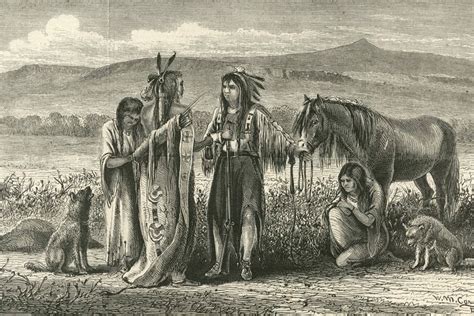 What Usually Happens With Colonists And Native Tribes: A History of Conflict