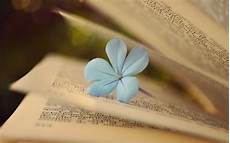 Hd Book Pages Picture by 10 Lovely Hd Book Pages Wallpapers Hdwallsource Hd Book Pages Picture