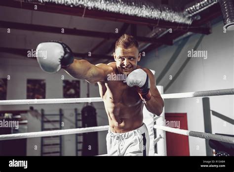 Boxer Boxing 的图像结果