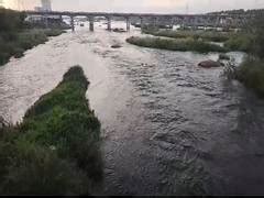 Cauvery panel directs Karnataka to release 3216 cusecs water every day ...