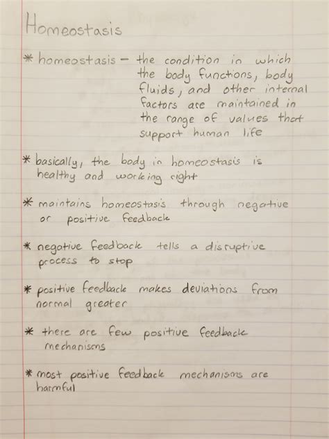 Homeostasis Worksheet Graph Answer Key - prntbl.concejomunicipaldechinu ...