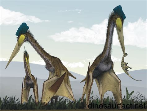 Genus Of Quetzalcoatlus