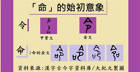 先见丨《汉字形体史》：探讨汉字历史分期，描述汉字形体演变