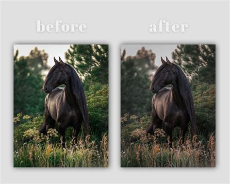 HORSE RANCH Lightroom Presets, 10 Mobile & Desktop Presets, Pet Presets ...