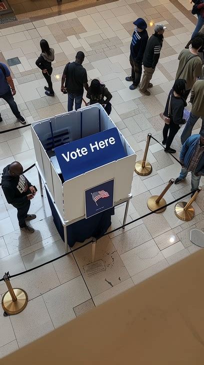 Voting 的图像结果