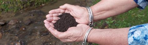 Worm Castings by The Native Route | Vermicompost - Pure, Organic ...