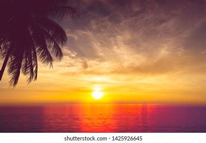 Image result for Sunset Climb O2