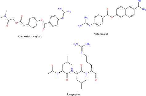 Drug 的图像结果