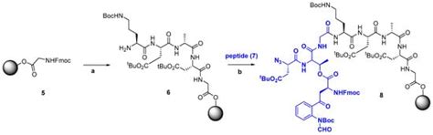 The Road from Host-Defense Peptides to a New Generation of ...