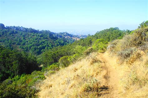 Claremont Canyon & UC-Berkeley Hikes – Live and Let Hike