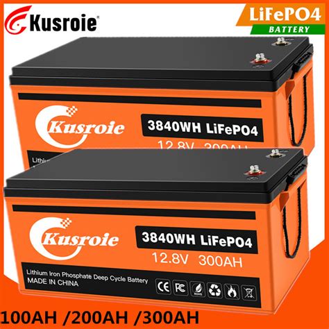 2X LiFePO4 Lithium Battery 12V 100Ah 300Ah Deep | Ubuy India