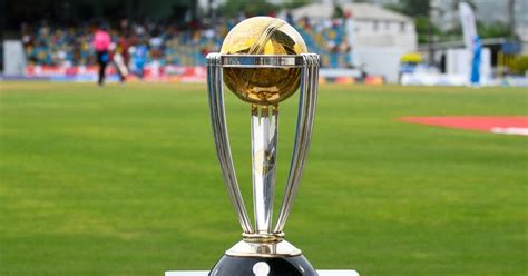 IND VS AUS Final: इस रेस्टोरेंट में बड़ी स्क्रीन पर देखिए फाइल मैच ...