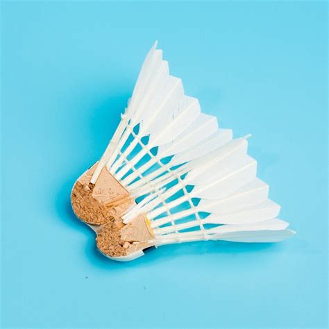 Badminton Net Shuttle Cock 的图像结果