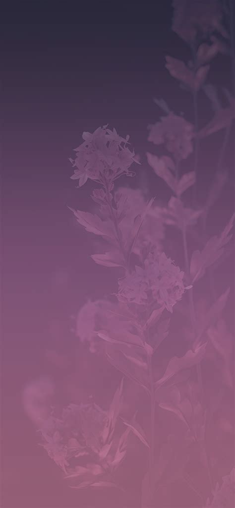 Dark Purple Flowers Background