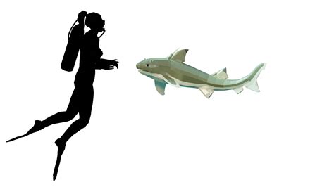 Hybodus Shark