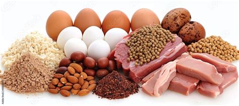 Nutrition 的图像结果