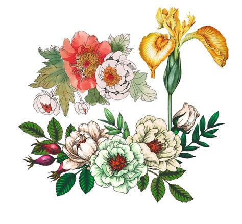 Image result for JavaScript Draw Flower