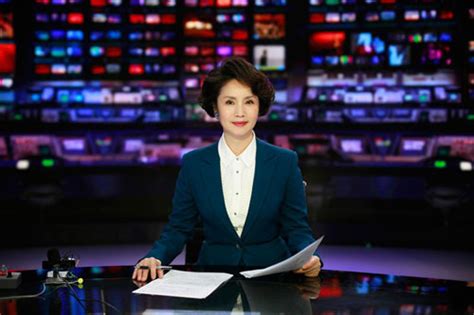 央视主持人徐俐简介,个人资料,照片,今日关注,老公是谁-名人简介