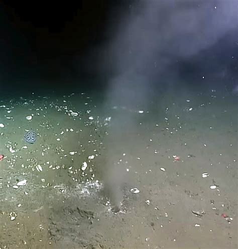 अमेरिका में कभी भी आ सकता है महाभूकंप, प्रशांत महासागर की तलहटी में ...