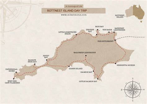 The perfect one day trip to rottnest island (2022 guide)