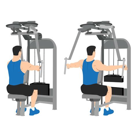 Man doing rear delt machine flyes exercise. 22915227 Vector Art at Vecteezy