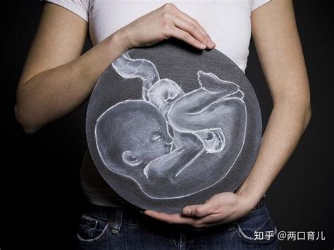 Foetus at 38 weeks, artwork - Stock Image - F006/9183 - Science Photo ...