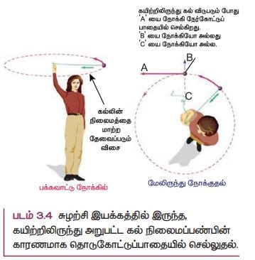 நியூட்டனின் முதல் விதி | Newton’s First Law | in Tamil