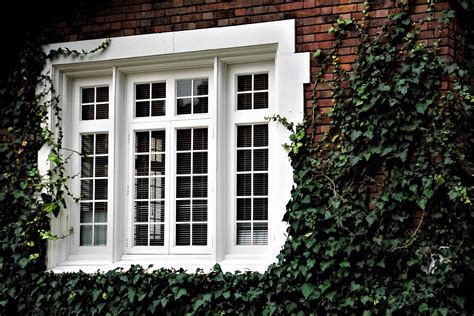 Instantly Upgrade Your Windows with DIY Window Grids from New Panes
