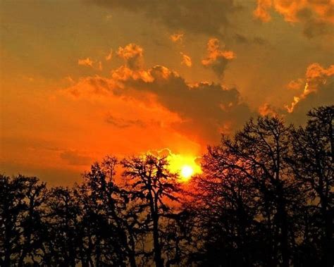 Ropeway from Joshimath to Auli - All You Need to Know BEFORE You Go