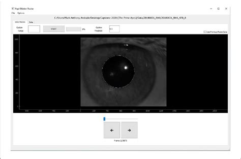 Pupil Tracking Software 的图像结果